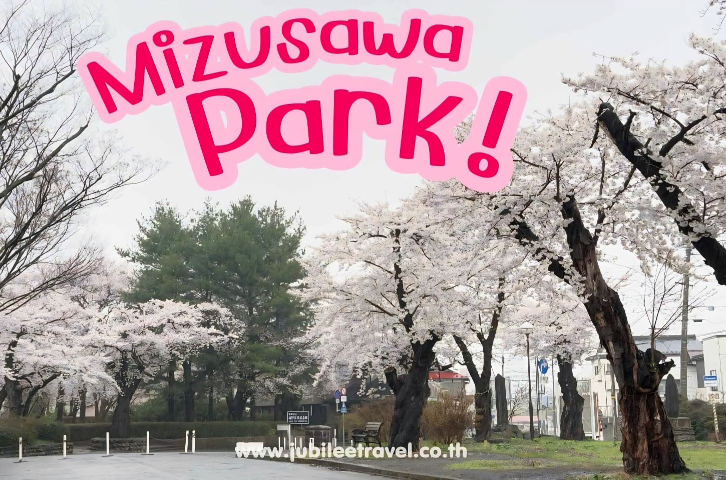 Mizusawa Park Skura : สวนมิซูซาวะ : ซากุระนี้แค่เธอก็พอ