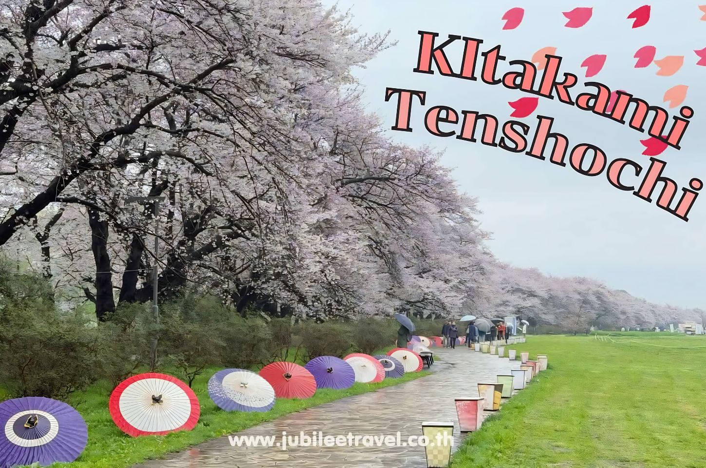 KItakami Tenshochi Park Sakura : สวนคิตะคามิ เทนโชจิ ซากุระนี้มีเธอก็ฟินแล้ว