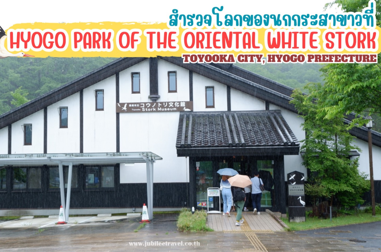 สำรวจโลกของนกกระสาขาวที่ Hyogo Park of the Oriental White Stork เมืองโทโยโอกะ จังหวัดเฮียวโงะ