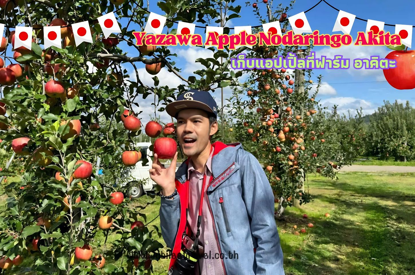 Yazawa Apple Nodaringo Akita: เก็บแอปเปิ้ลที่ฟาร์ม อาคิตะ