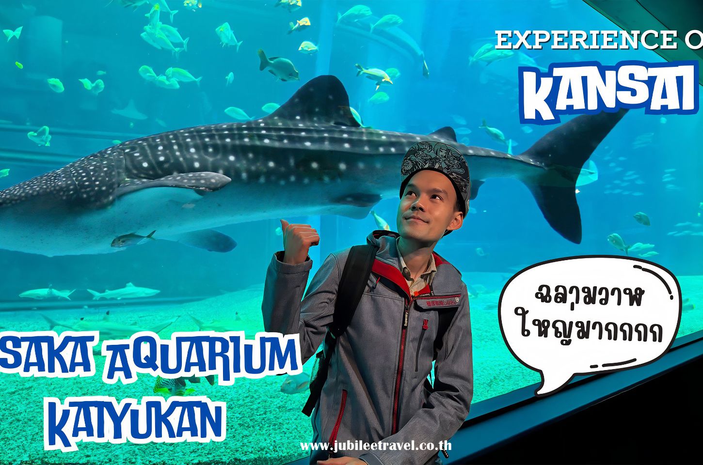 Trip Kansai Osaka Aquarium Kaiyukan : ไคยูคัง โอซาก้าฉลามวาฬใหญ่มากกกก