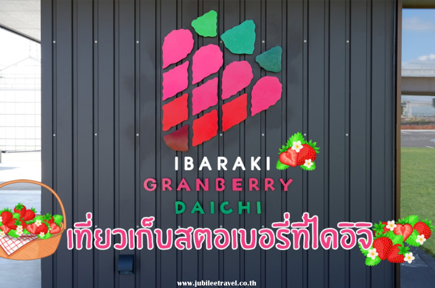 Grandberry Daichi Ibaraki : เที่ยวเก็บสตอเบอรี่ที่ไดอิจิ อิบารากิ