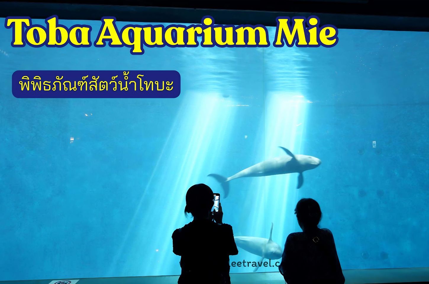 Toba Aquarium Mie: พิพิธภัณฑ์สัตว์น้ำโทบะ